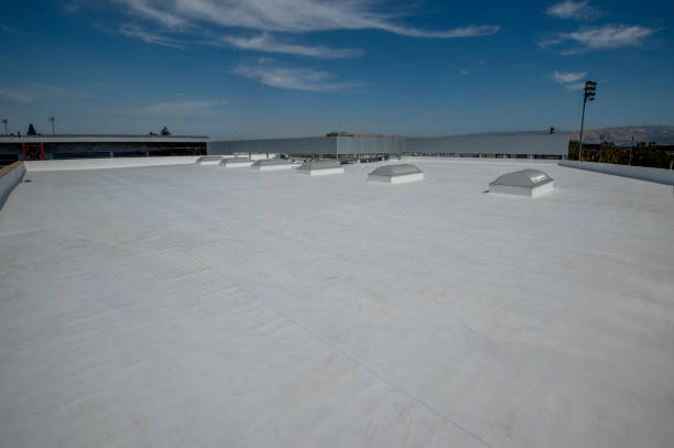 Best Roof Insulation Installation  in Schler Park, IL